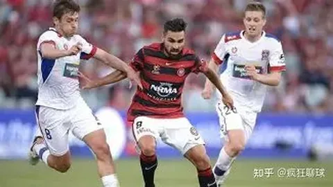 我国男乒队伍轻松挺进决赛，将挑战朝鲜队争夺乒乓球金牌