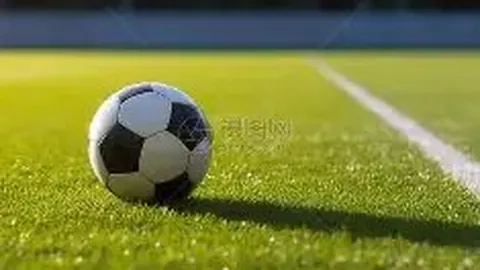 神殿娱乐 产品 084333 lrn