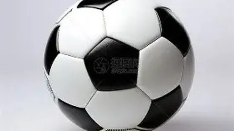周末大乐透期号分析：专家质合推荐及前区十码预测